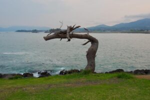 東日本大震災から14年が経ちました